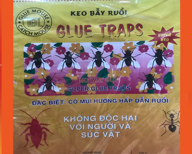 keo bẫy ruồi lớn