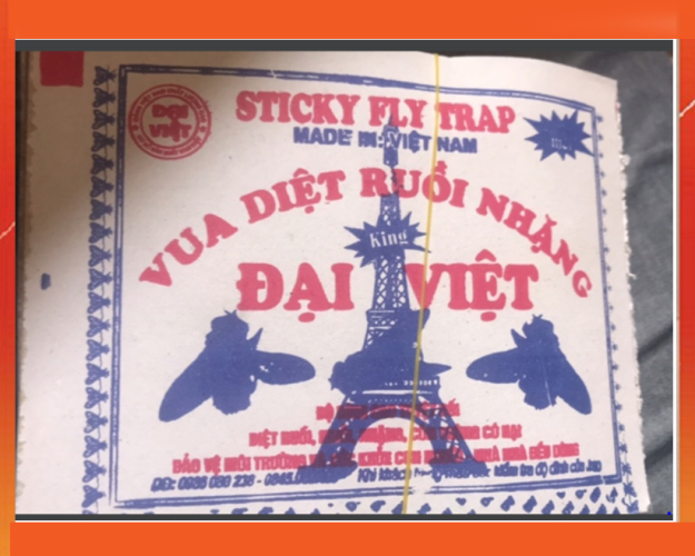 keo dán ruồi ĐẠI VIỆT 1