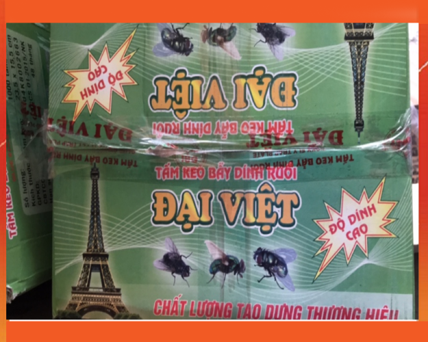 keo dán ruồi ĐẠI VIỆT 2